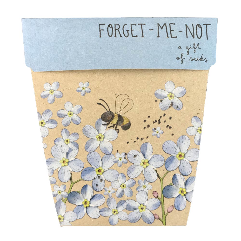 Gift of Seeds | Forget-Me-Not