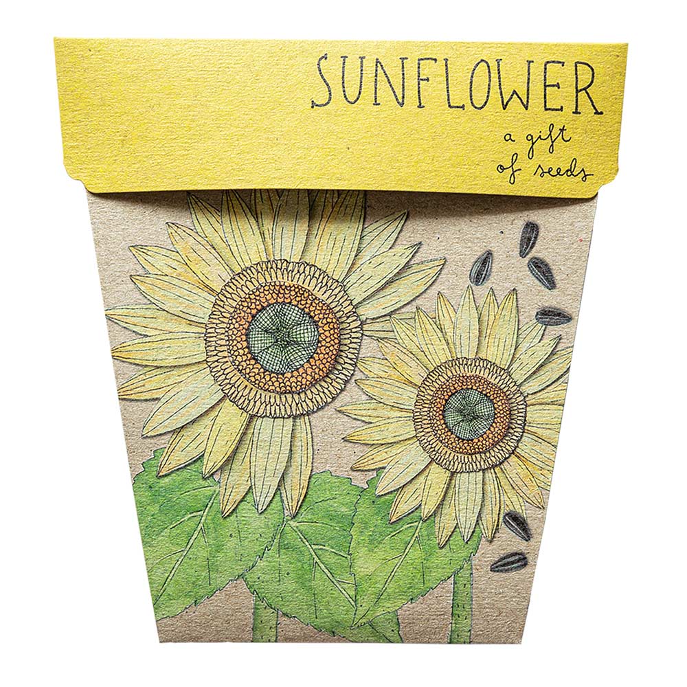 Gift of Seeds | Sunflower